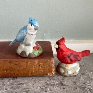 Salt and pepper Blue Jay and Red cardinal Bird  Set